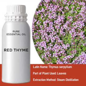 Red Thyme Essential Oil 0.5kg