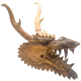 Live Size Dragon Head Carving  - 30m