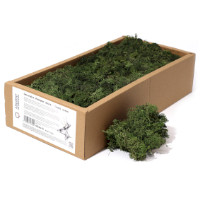 Decoration Reindeer Moss - Grass Green - (approx 500gm)