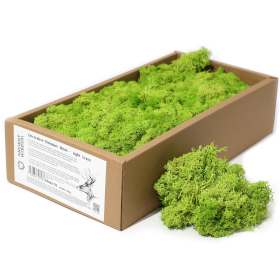 Decoration Reindeer Moss - Light Grass  - (approx 500gm)