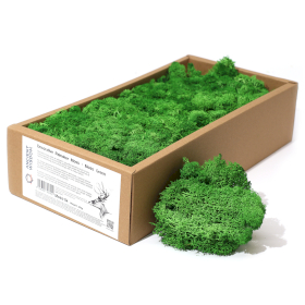 Decoration Reindeer Moss - Moss Green - (approx 500gm)