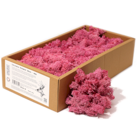 Decoration Reindeer Moss - Pink - (approx 500gm)