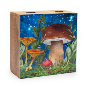 Big Square Box 15x17.5x8cm - Mushroom Design Teal