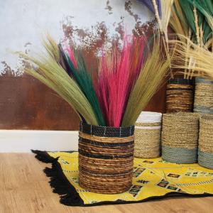 Wholesale Natural Pampa Brooms