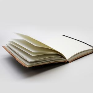 Supply of Vegetable Leather Notebooks