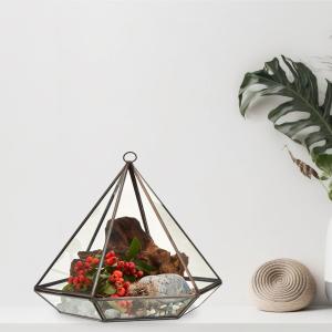 Glass and Brass Terrariums for Resale
