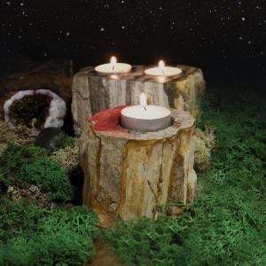 Wholesale Petrified Wood Stone Candle Holders