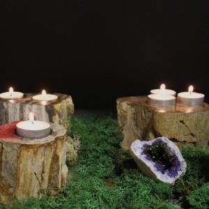 Supplier of Petrified Wood Stone Candle Holders 