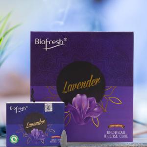 Wholesale Biofresh BackFlow Incense Cones