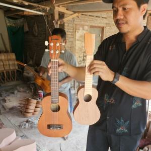 Supplier of Artisan Guitar Ukuleles