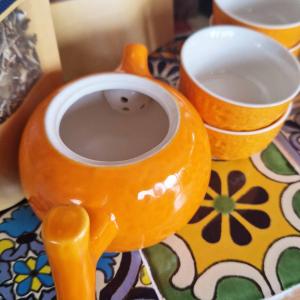 Reseller of  Herbal Teapot Set