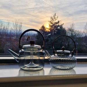 Wholesale Glass Infuser Teapot