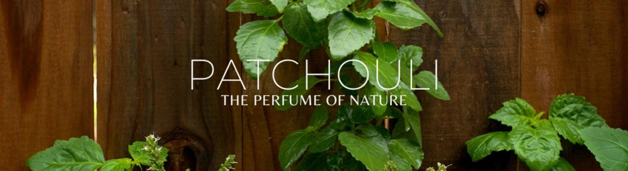 Patchouli Products for Resale